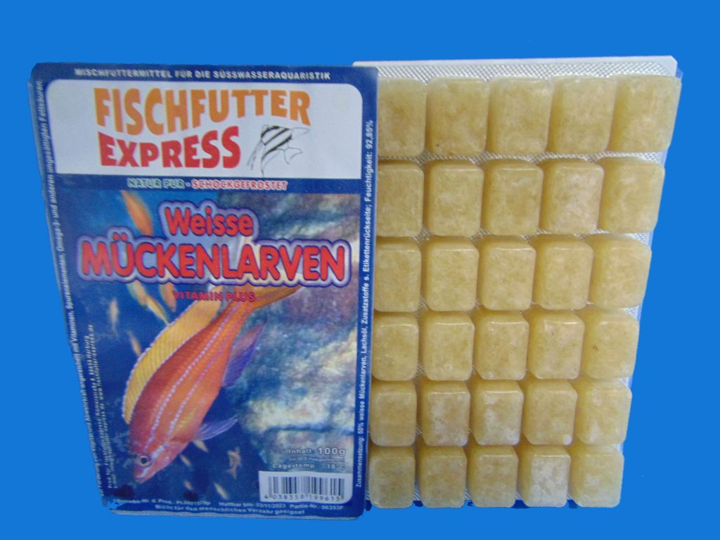 Weiße Mückenlarven Blister fischfutterexpress.de