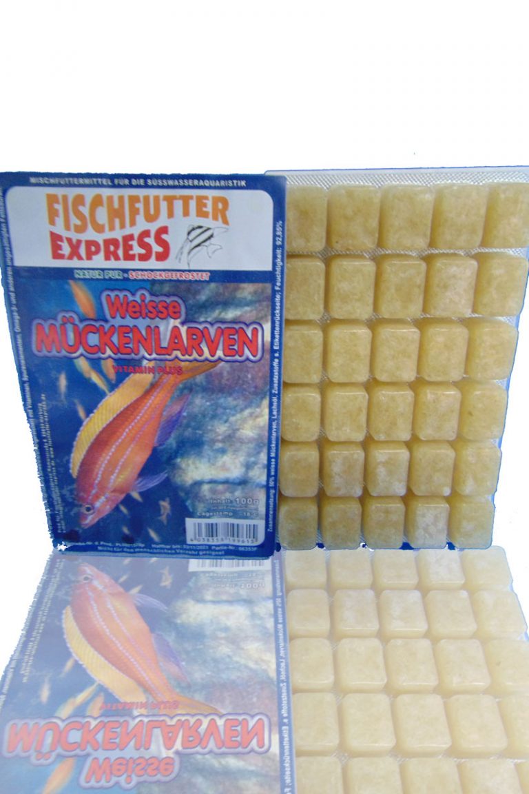 Weiße Mückenlarven - Blister - fischfutter-express.de